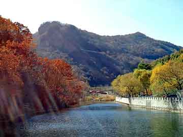 最新旅游新闻深度论述