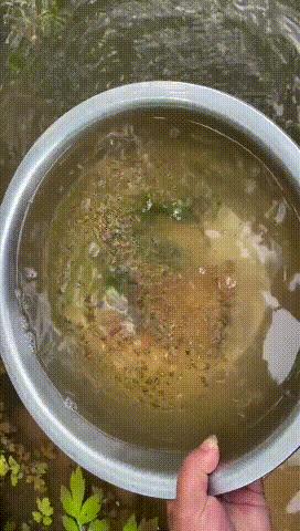 🌟太岁最新动态揭秘🌟