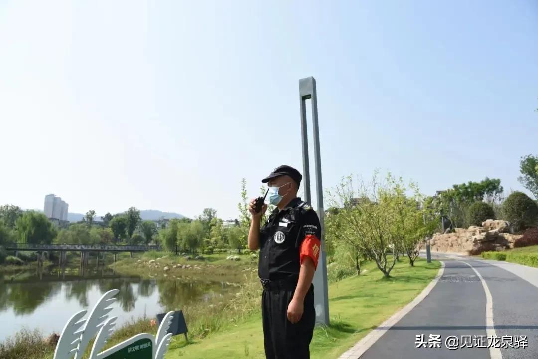 龙泉湖移民最新动态