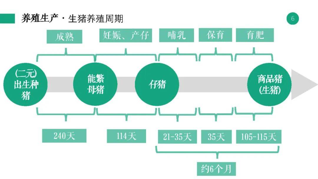新澳2025年正版资料更新,深入挖掘解释说明_生态版15.482