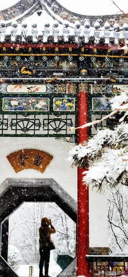 金陵雪最新作品步骤指南详解