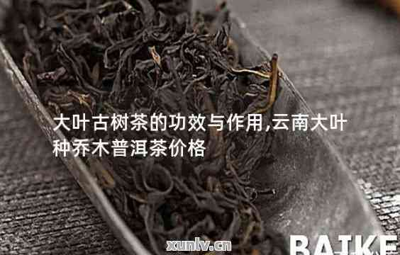 食品 第9页
