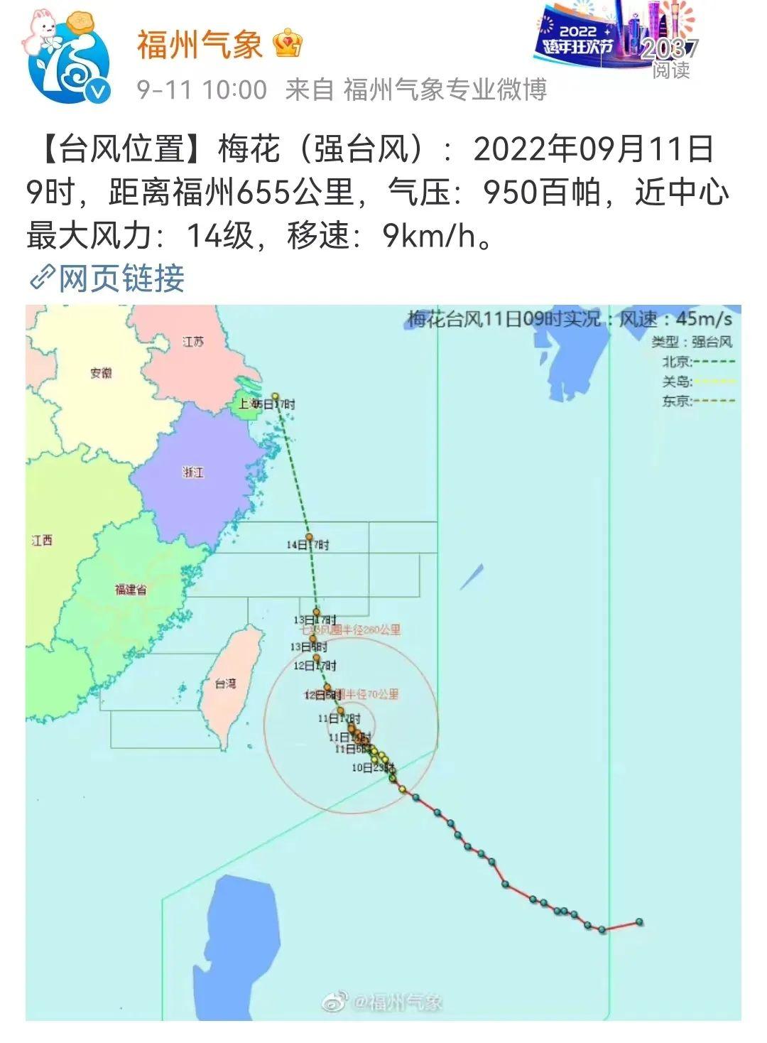 福州台风最新动态，风中的温情故事