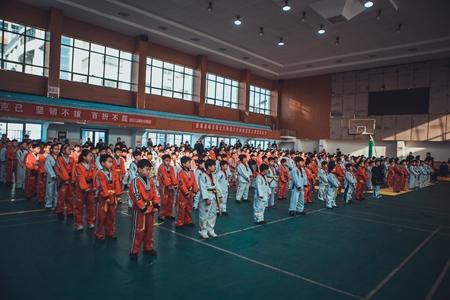 新泰新闻速递，城市生活的温馨日常报道