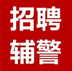 沧州最新招聘信息及其动态分析